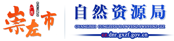  廣西崇左市自然資源局網站